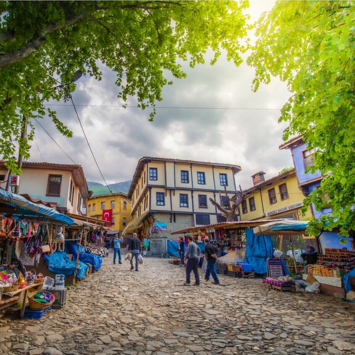 Her Cumartesi Pazar Kalkışlı Günübirlik Cumalıkızık Gölyazı Mudanya