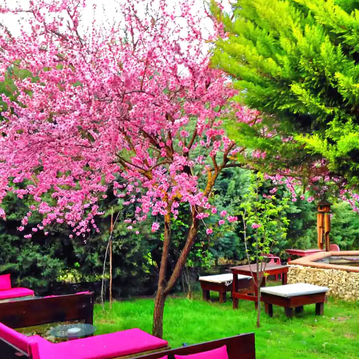 Şile Façiba Pansiyon & Restaurant'da Nehir Kenarında 2 Kişilik Romantik Konaklama Keyfi