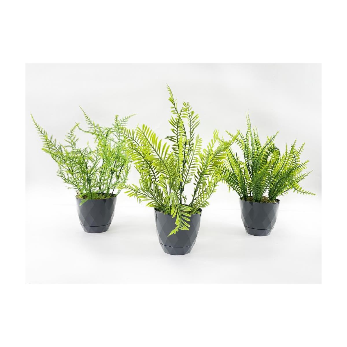 Yapay Çiçek Siyah Saksıda 3 Adet Mini Yeşil Bitkiler