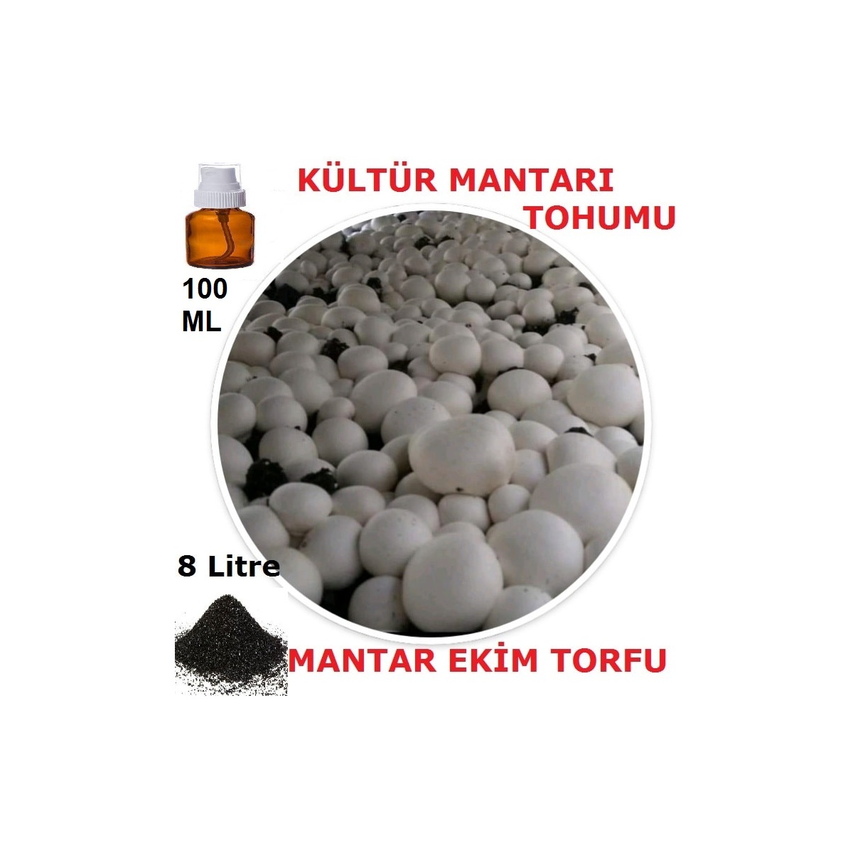 100 Ml Kültür Mantarı Tohumu + 8 Lt Mantar Ekim Torfu (Başka Bir Şeye Gerek Yok)