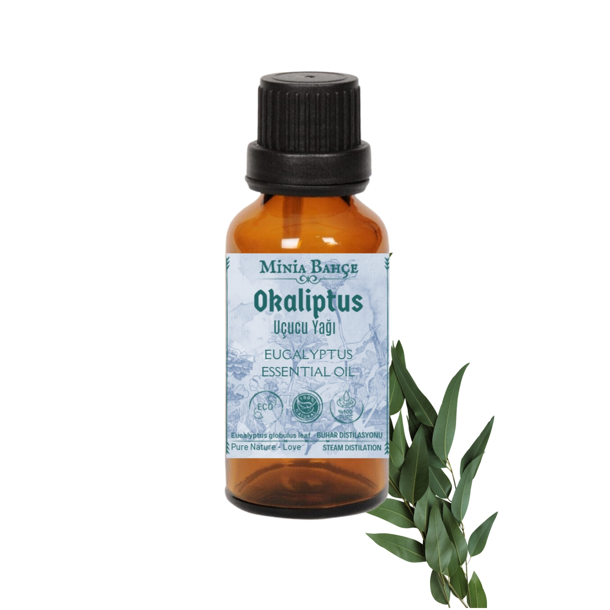 Okaliptus Uçucu Yağı, %100 Doğal, 10Ml