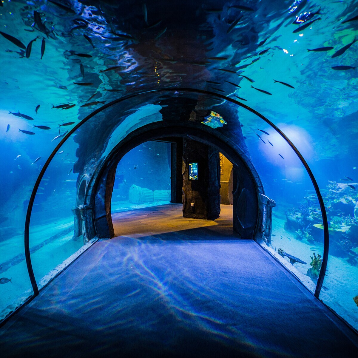 Funtastic Aquariums İzmir Giriş Bileti