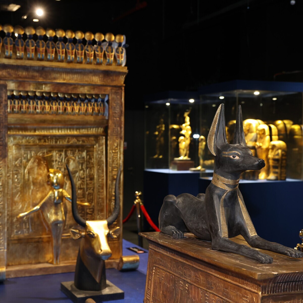 Tutankhamun Çocuk Kral'ın Hazineleri Sergisi Giriş Bileti