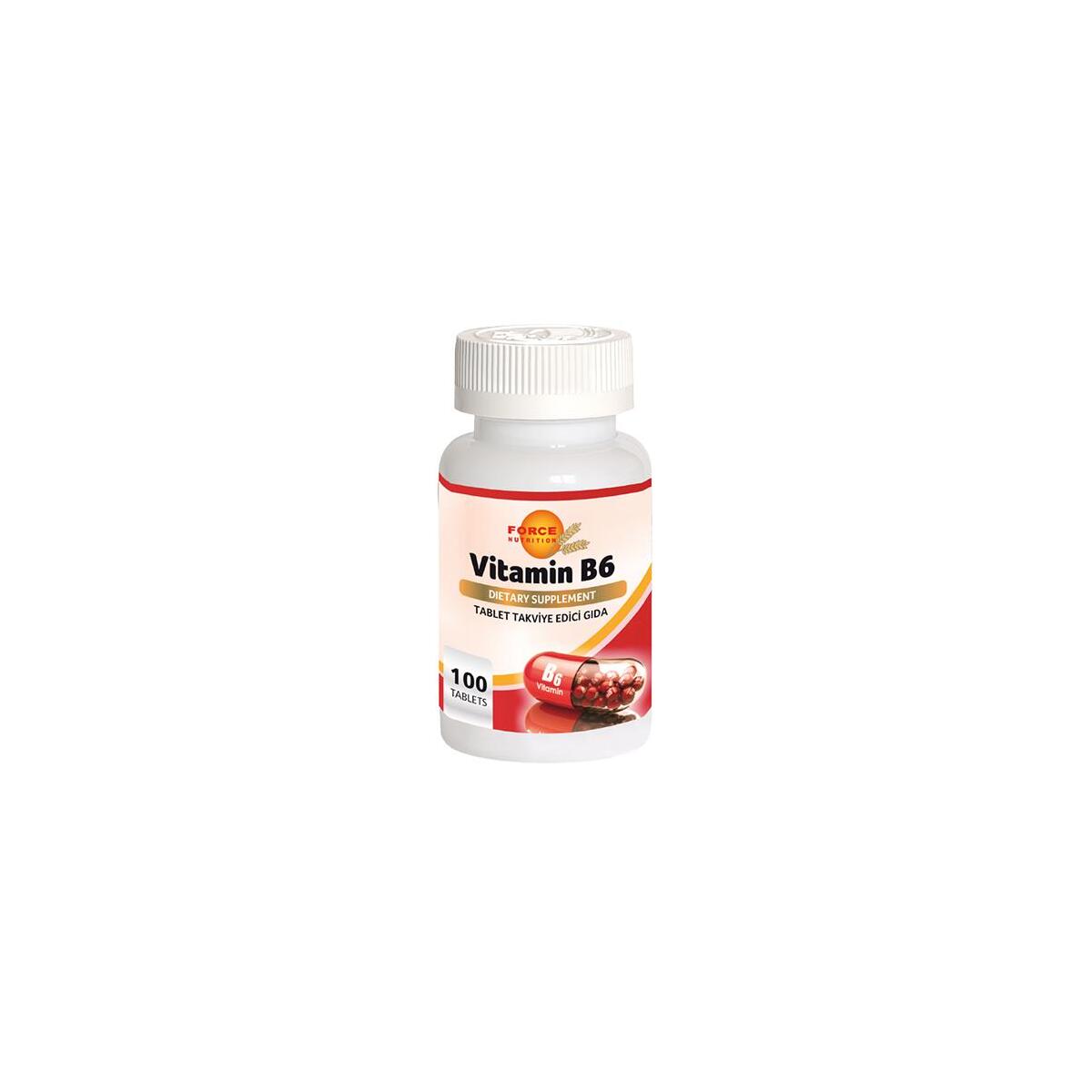 Force Nutrition Vitamin B6 Vitamini 100 Tablet