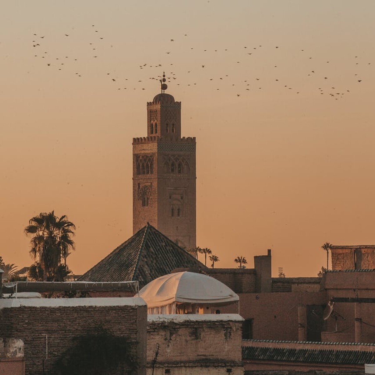 Vizesiz 5 Gün Tüm Turlar Dahil Yarım Pansiyon Casablanca - Marrakech Turu (Bayramlarda Geçerli)