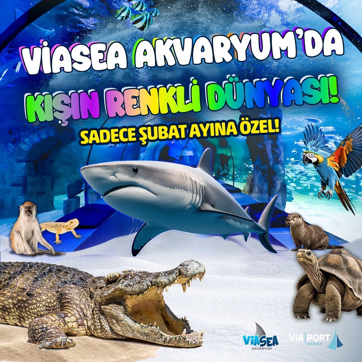 Viasea Akvaryum Giriş Bileti