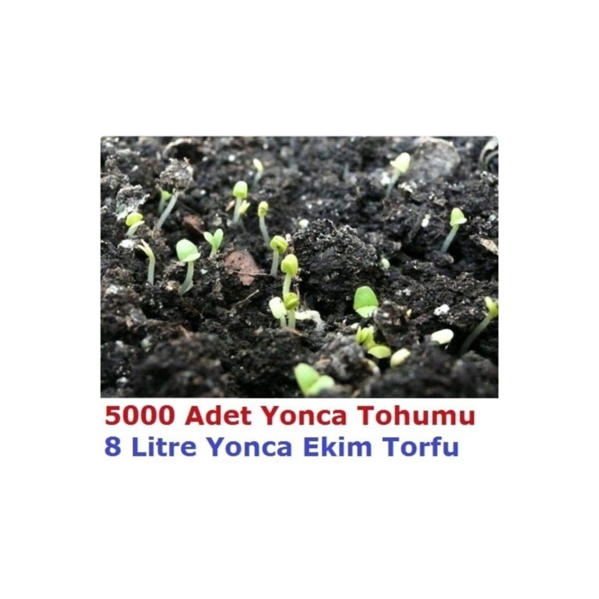 5000 Adet Yonca Tohumu Ve 8 Litre Ekim Torfu