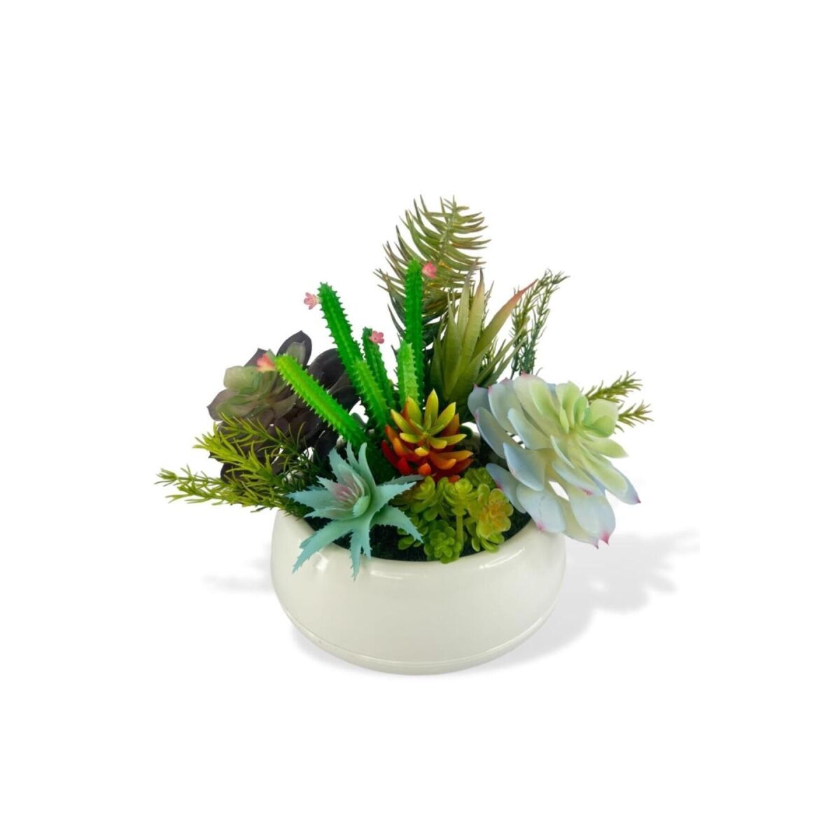 Yapay Çiçek Kaktüs Sukulent Aranjmanı Krem Renk Plastik Saksıda 10 Adet Karışık Model Skulent
