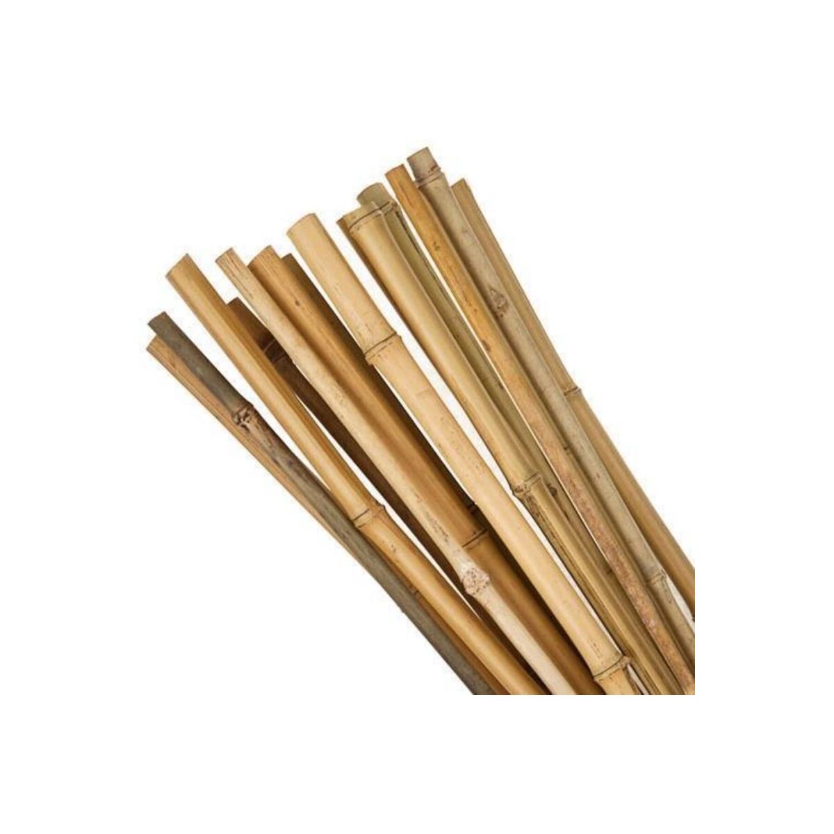 Bambu Sopası 240 Cm 18-20Mm Bambu Çubuğu 5 Adet