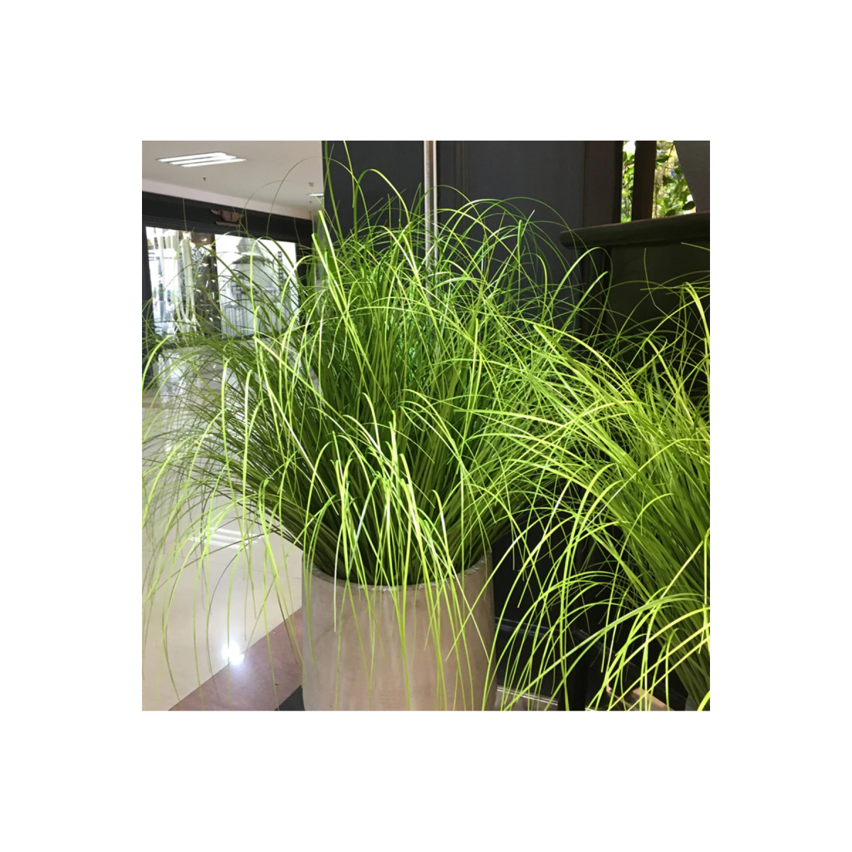 Yapay Çiçek Saz 60 Cm Plants Grass Dekoratif Çiçek