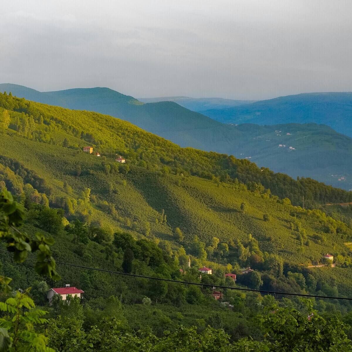 Kuzey Yıldızı Doğu Karadeniz ve Batum Turu (4 Gece Konaklamalı)