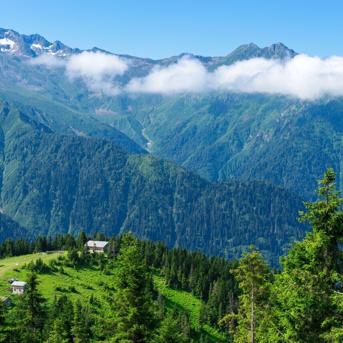 Otobüslü Doğu Karadeniz, Batum, Tiflis, Doğu Ekspresi Treni Dahil Kars ve Erzurum Turu (Yaylalar, Batum ve Tiflis Konaklamalı)