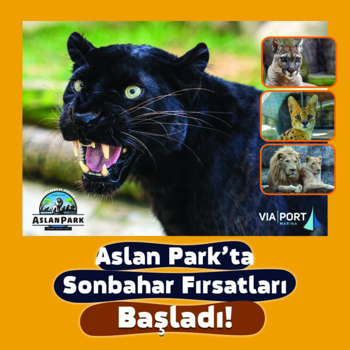 Aslan Park Giriş Bileti