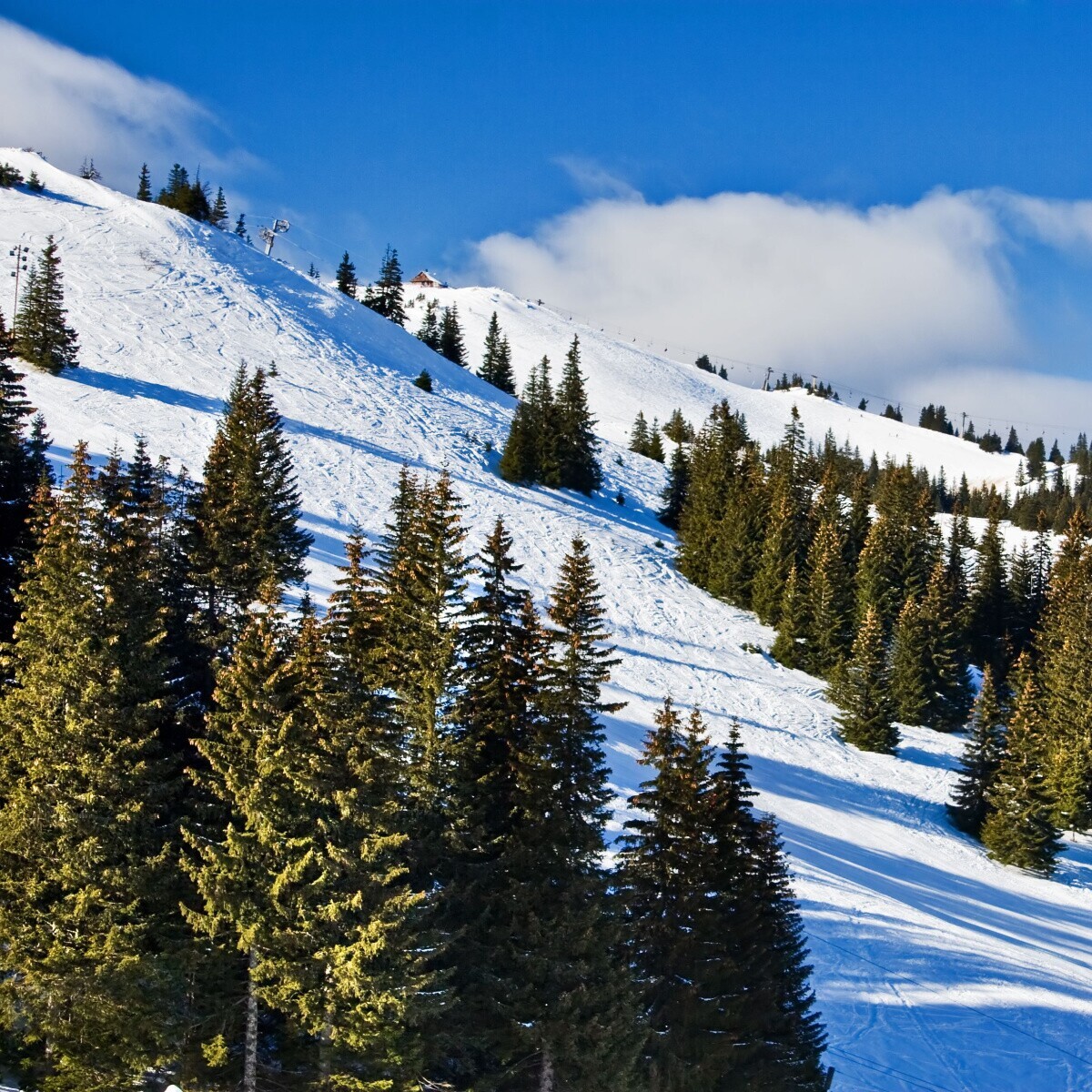 2025 Sömestre Vizesiz Bosna Hersek Jahorina Kayak Turu