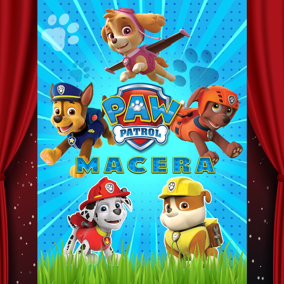 'Paw Patrol Macera' Çocuk Tiyatro Bileti