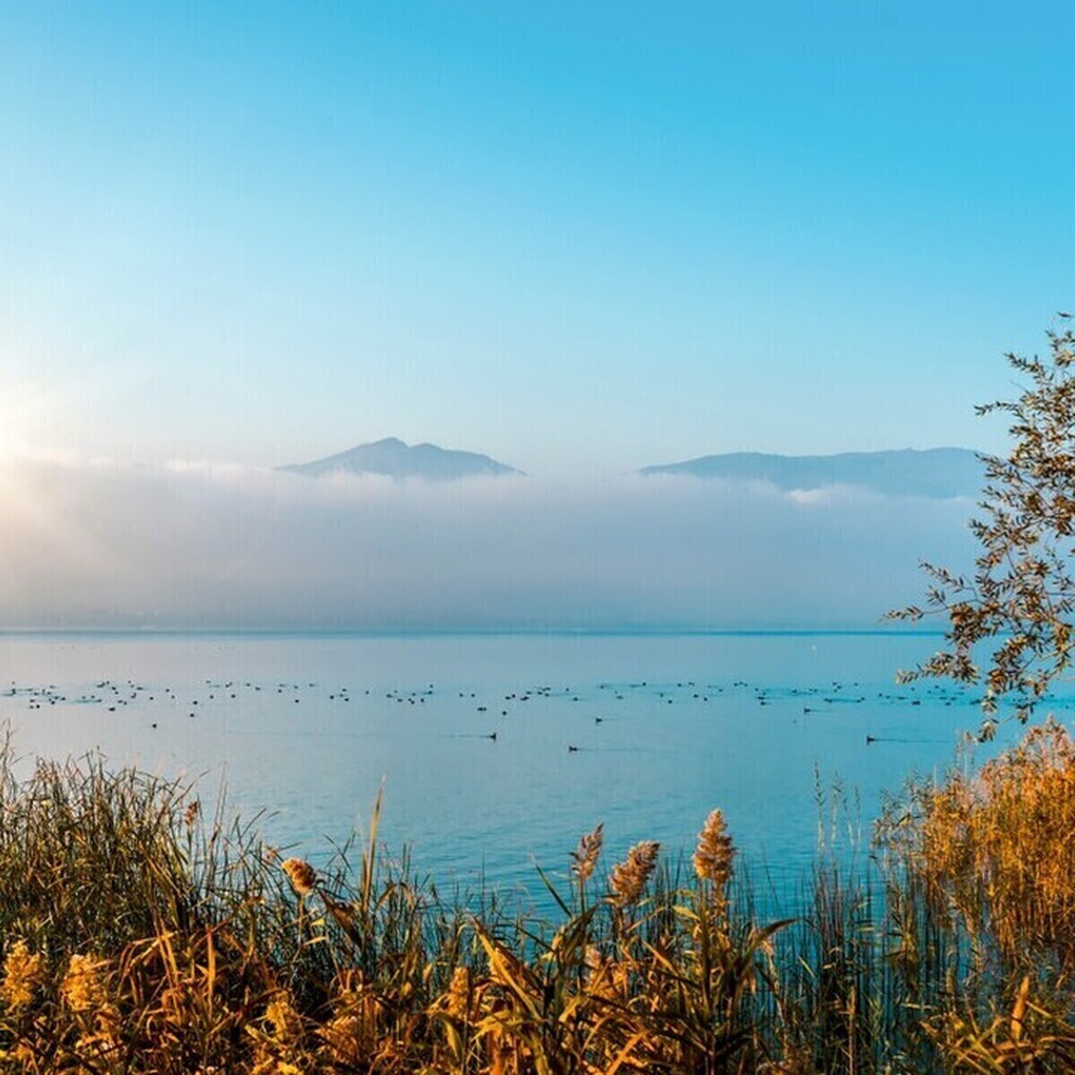 Kar Palas City Hotel & Spa Otel Konaklamalı 2 Günlük Muhteşem Bolu Doğa Turu Maşukiye - Göynük - Mudurnu - Abant Gölü - Gölcük Gölü - Kartalkaya Turu