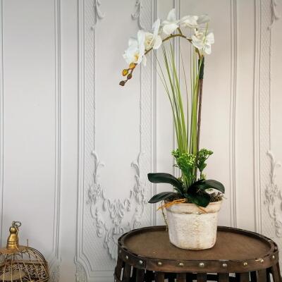 Yapay Çiçek Beyaz Orkide Seramik Saksıda Tek Dal Orkide 60Cm
