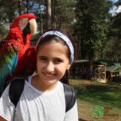 Park Of İstanbul Eğlence Alanı ve Hayvanat Bahçesi