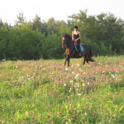Atlıtur Gümüşdere'den Okullara Yönelik Atları Tanıma ve At Binme