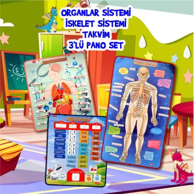 3 Set -106 Parça  İç Organlar , İskelet  Sistemi Ve Takvimi Öğreniyorum Keçe Cırtlı Duvar Panoları , Eğitici Oyuncak