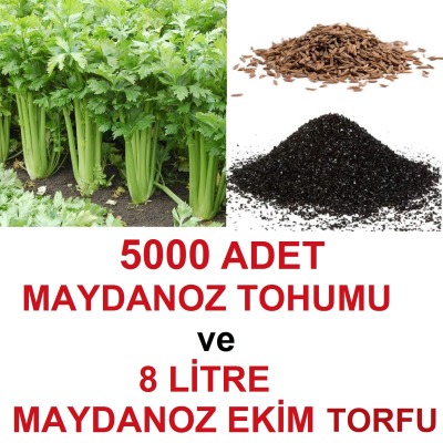 5000 Adet Geniş Yapraklı Köylü Maydanoz Tohumu Ve 8 Litre Maydanoz Ekim Torfu