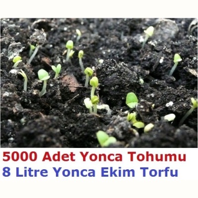5000 Adet Yonca Tohumu Ve 8 Litre Ekim Torfu