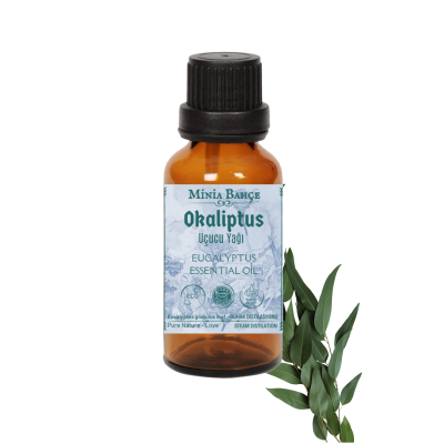 Okaliptus Uçucu Yağı, %100 Doğal, 10Ml