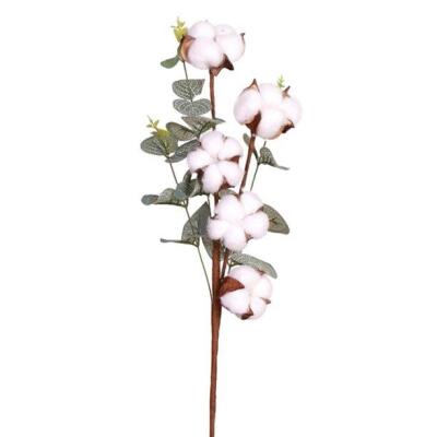 Doğal Pamuk Çiçeği Okaliptuslu 5Li Kuru Çiçek Yapay Çiçek