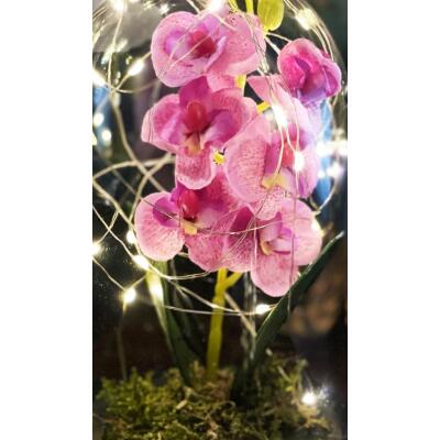 Faunus İçerisinde Işıklı Yapay Pembe Orkide Anneler Günü Özel Hediye