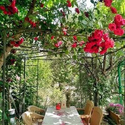 Çiçekliköy Çiçekli Kahvaltı Evi’nde Lezzet Dolu Serpme Köy Kahvaltısı