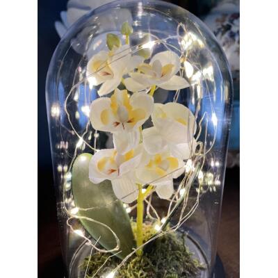 Faunus İçerisinde Işıklı Yapay Pembe Orkide Anneler Günü Özel Hediye