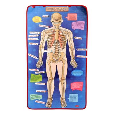 4 Set - 151 Parça  İskelet , İç Organlar Sistemi , Takvim Ve Rakamları Öğreniyorum Keçe Cırtlı Duvar Panoları , Eğitici Oyuncak