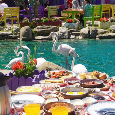 Doğaköyü Çatalca'da Havuz Başında Enfes Serpme Kahvaltı Menüsü