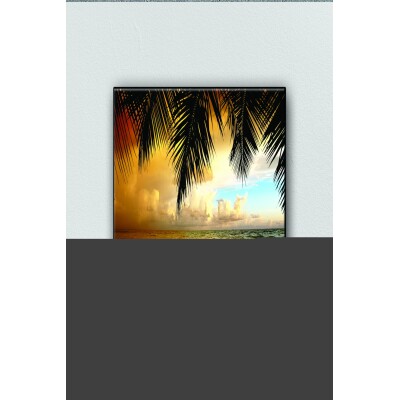 Palmiyeler Ve Sahil Tuvale Baskı 40 X 60 Görsel Rengi