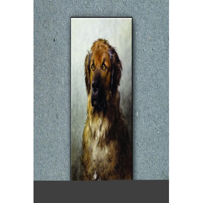 Tuval Üzerine Sevimli Köpek Baskısı 50 X 70 Görsel Rengi