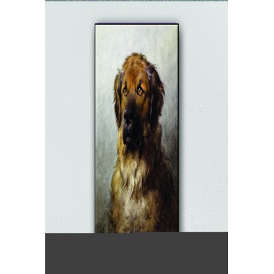 Tuval Üzerine Sevimli Köpek Baskısı 60 X 90 Görsel Rengi
