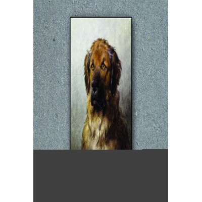Tuval Üzerine Sevimli Köpek Baskısı 40 X 60 Görsel Rengi