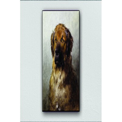 Tuval Üzerine Sevimli Köpek Baskısı 70 X 100 Görsel Rengi