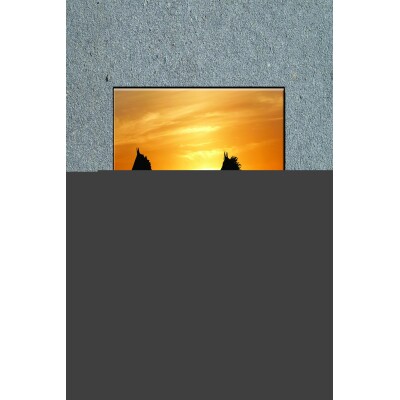 Tuval Üzerine 2'Li At Kanvas Tablo Baskı 80 X 120 Görsel Rengi