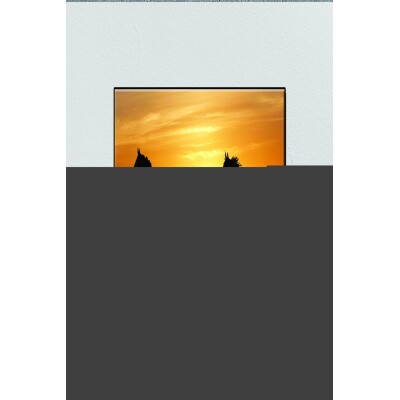 Tuval Üzerine 2'Li At Kanvas Tablo Baskı 80 X 120 Görsel Rengi