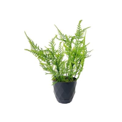 Yapay Çiçek Siyah Saksıda 3 Adet Mini Yeşil Bitkiler