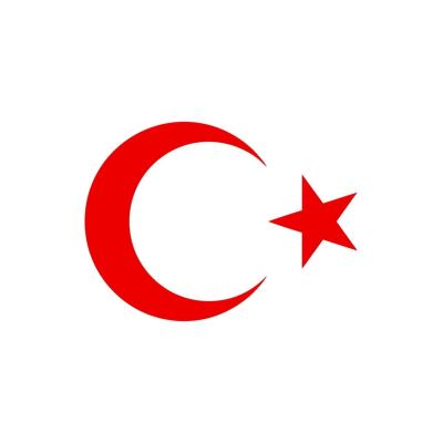 Kırmızı Türk Bayrağı Oto Kaput Sticker Far Sticker, Araba Kaput Sticker, Oto Sticker 30Cm