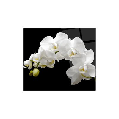 50X50 Cm Cam Ocak Arkası Koruyucu Ankastre Arkası Koruyucu | Orkide