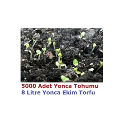 5000 Adet Yonca Tohumu Ve 8 Litre Ekim Torfu