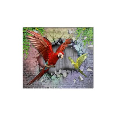 Cam Ocak Arkası Koruyucu Tezgah Ankastre Arkası Koruyucu | Papağan 25 X 35 Cm