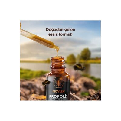 Propolis Ekstrakt (Su Bazlı-Alkolsüz) Nane Aromalı Sprey & Damla (540 Damla) Takviye Edici Gı