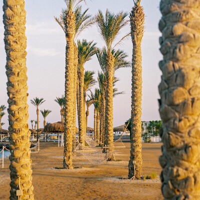 THY İle 5 Gün 5* Otel Her Şey Dahil Konaklama Hurghada Turu