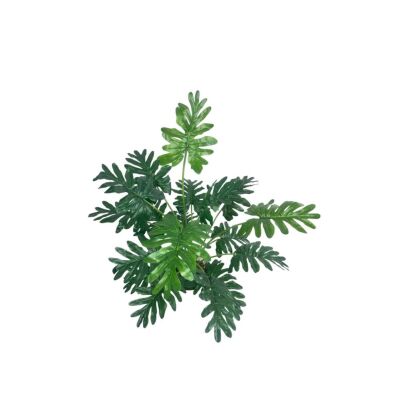Yapay Ağaç Salon Bitkisi Syngonium 70 Cm 18 Yaprak Antrasit Saksıda