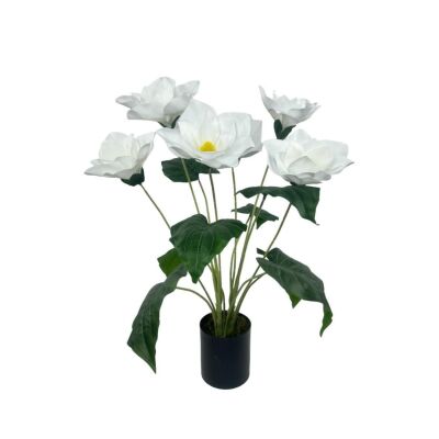 Yapay Çiçek Islak Manolya Çiçeği 6 Çiçekli 65Cm Siyah Saksıda Salon Çiçeği