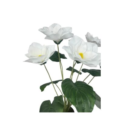 Yapay Çiçek Islak Manolya Çiçeği 6 Çiçekli 65Cm Siyah Saksıda Salon Çiçeği